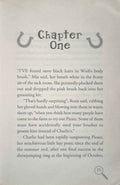 The Pony Detectives #4 Phantom: One Last Chance