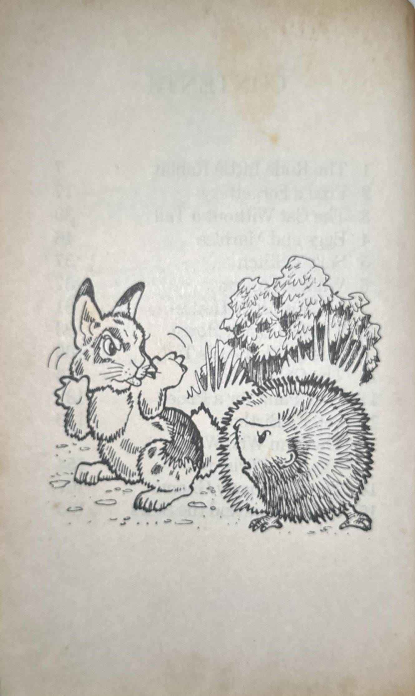 Popular Rewards: The Teddy Bear's Tail and Other Stories