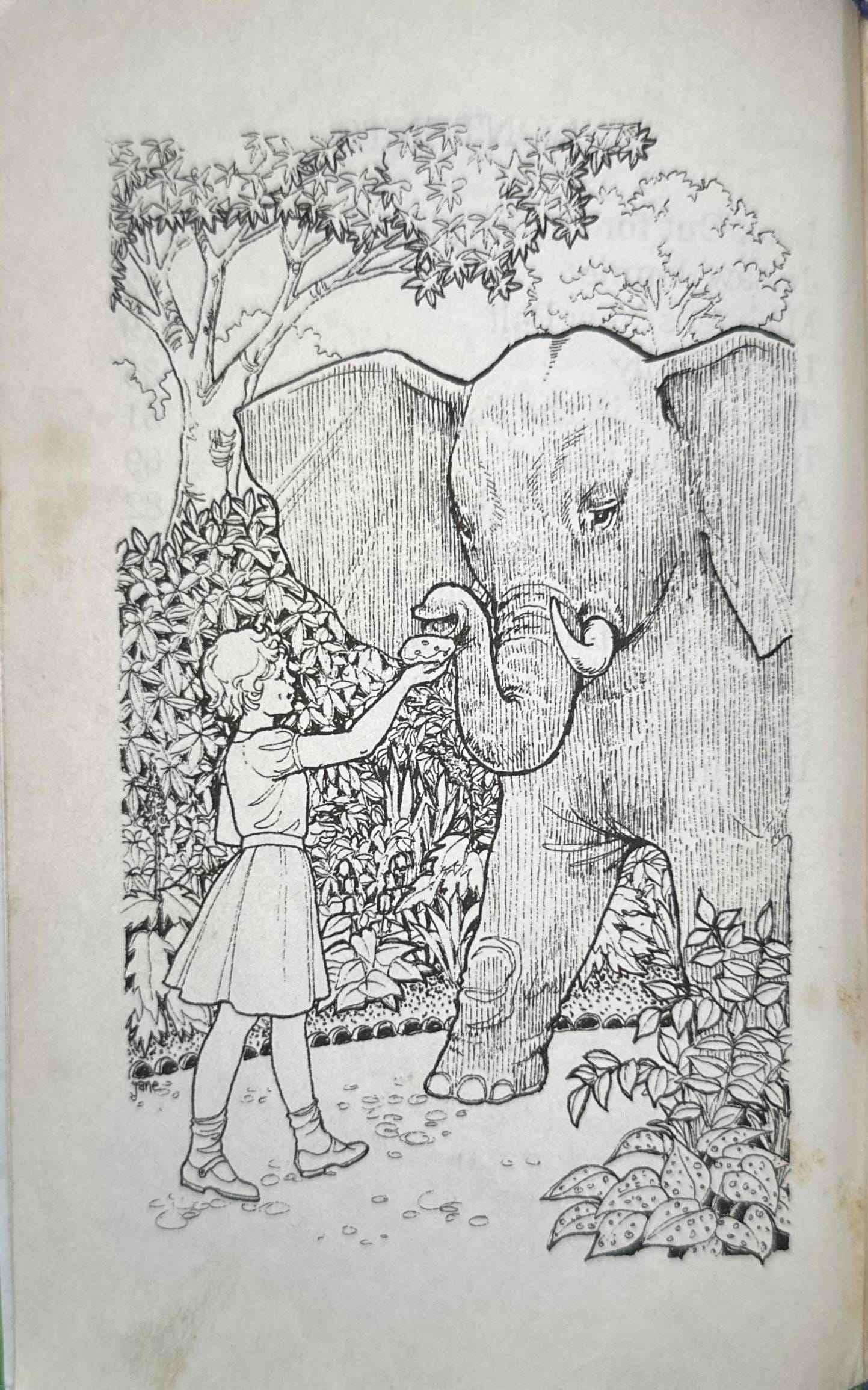Popular Rewards: Look Out for the Elephant and Other Stories