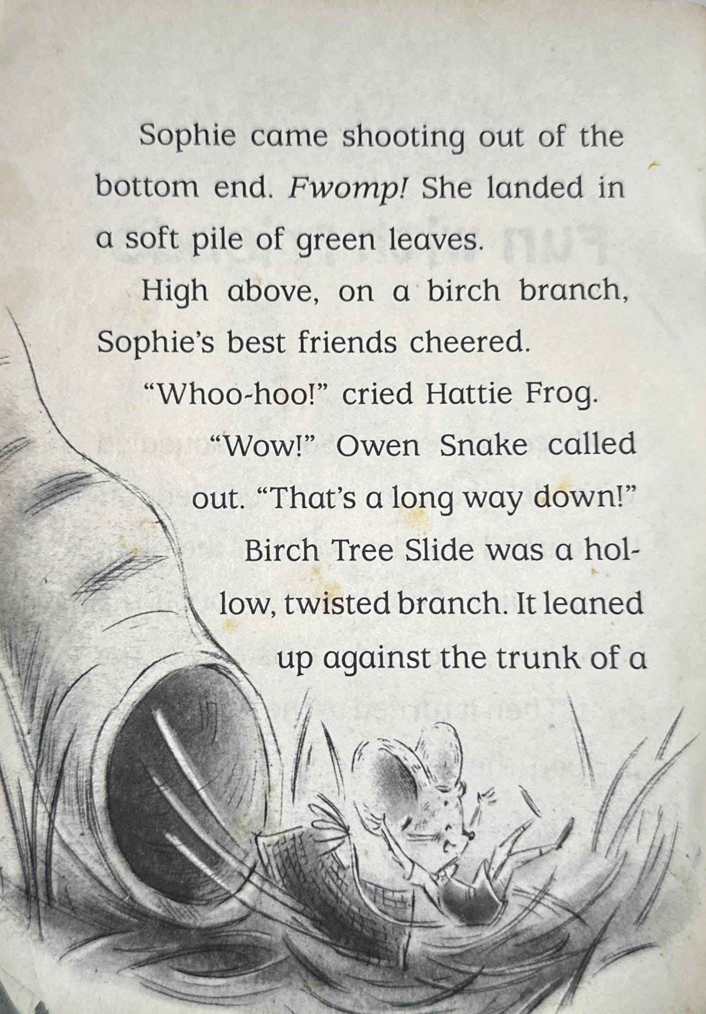 The Adventures of Sophie Mouse #4 Looking for Winston