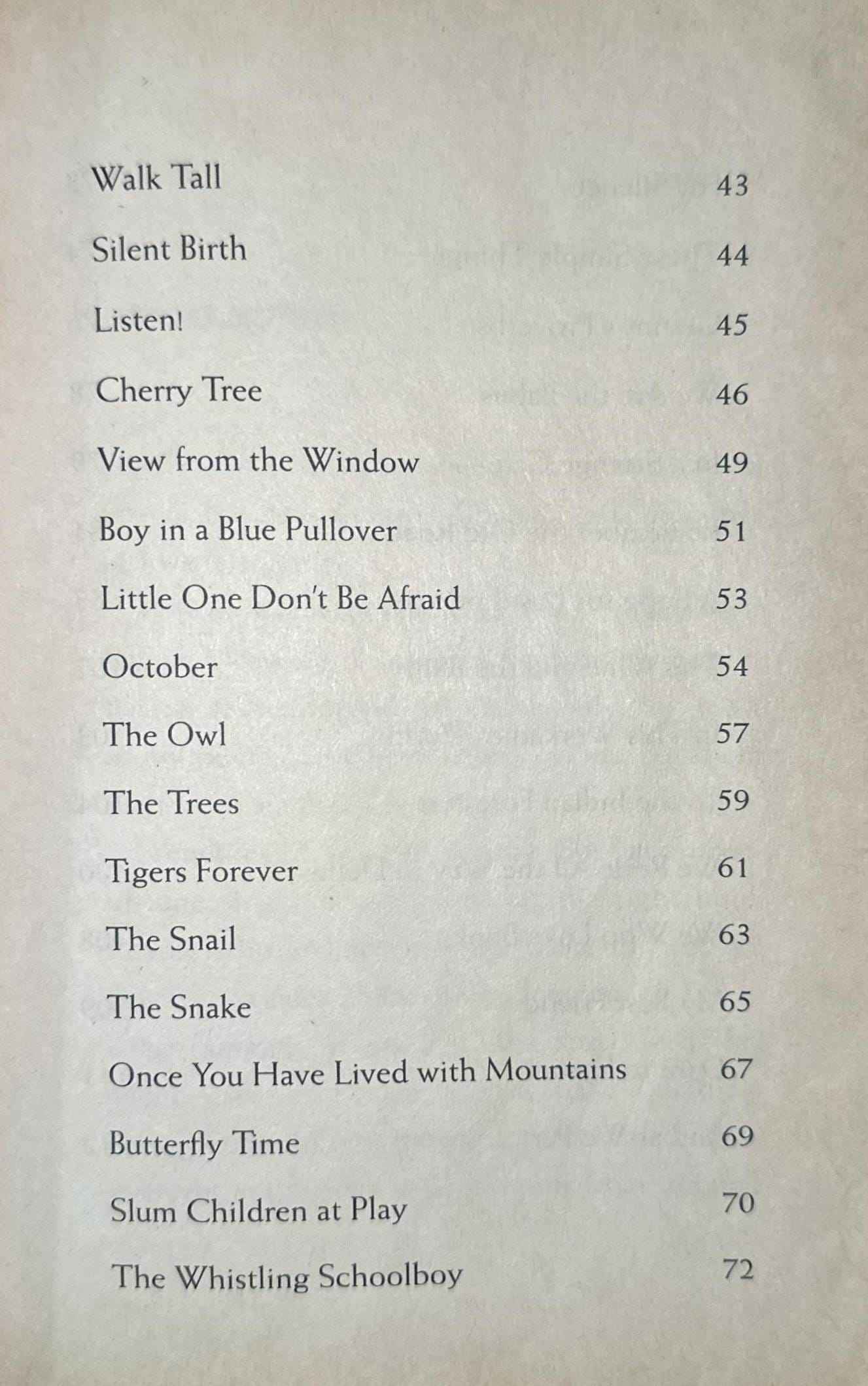 Hip- Hop Nature Boy and Other Poems