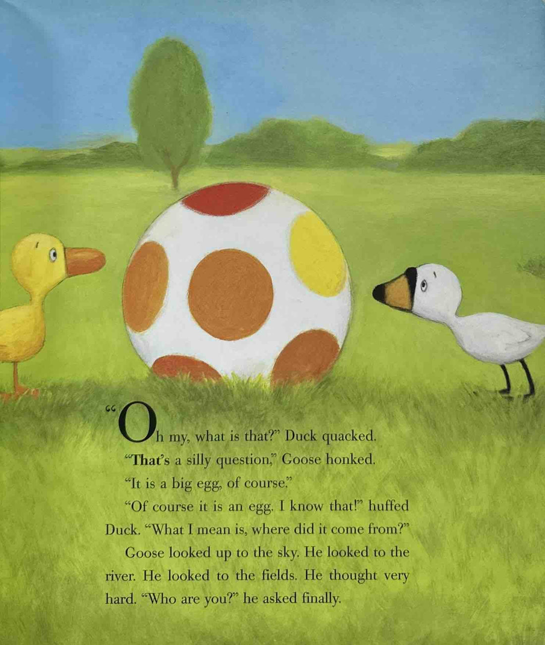 Duck & Goose 1 Duck & Goose (Paperback)