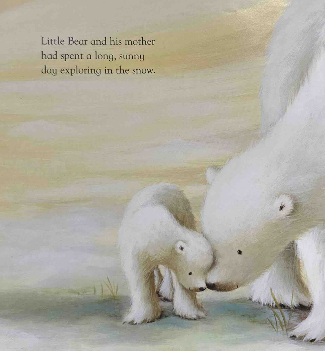 Bedtime for Little Bears