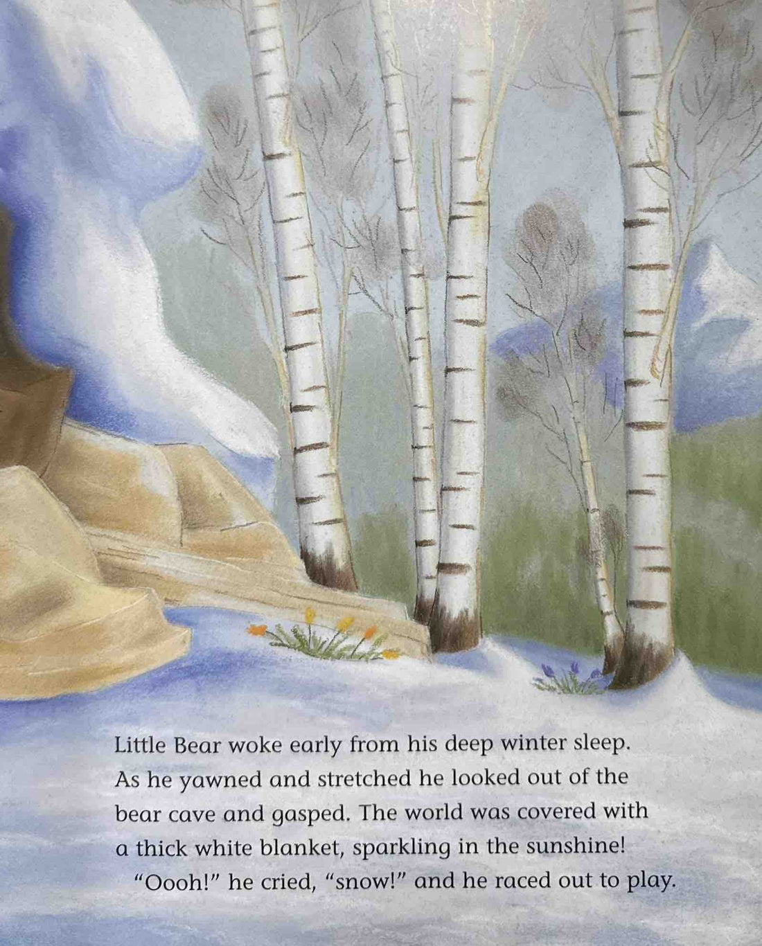 Snow Friends (Paperback)