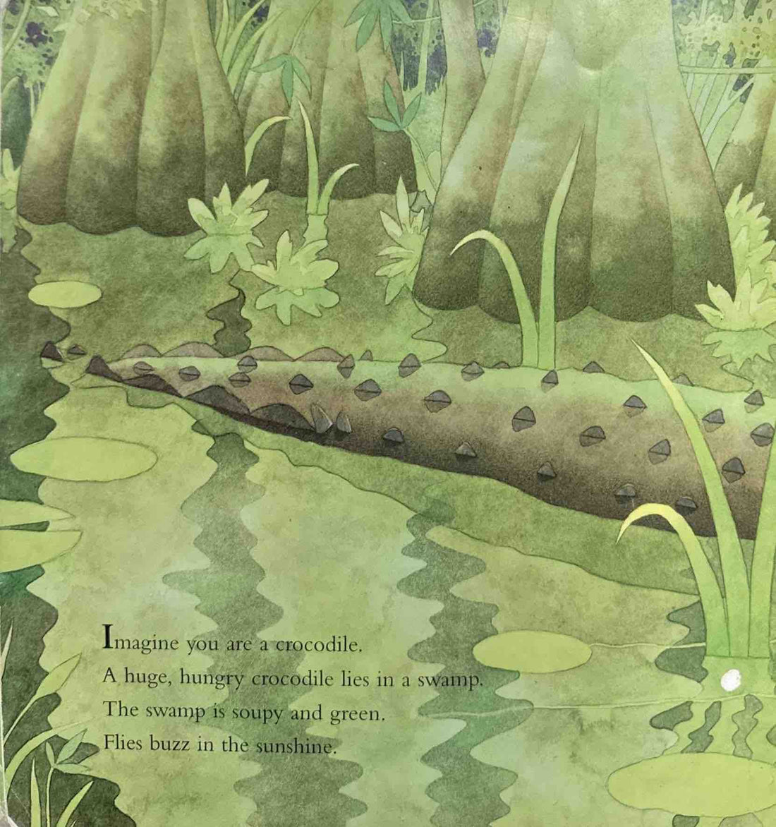 Imagine you are a: Imagine You Are A Crocodile