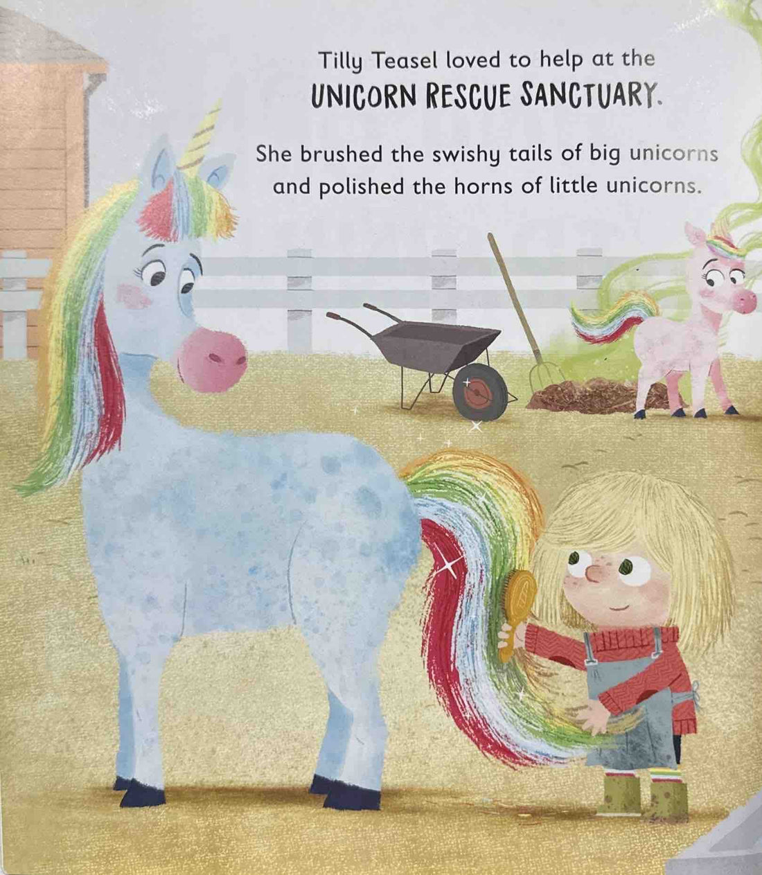 Unicorn Training