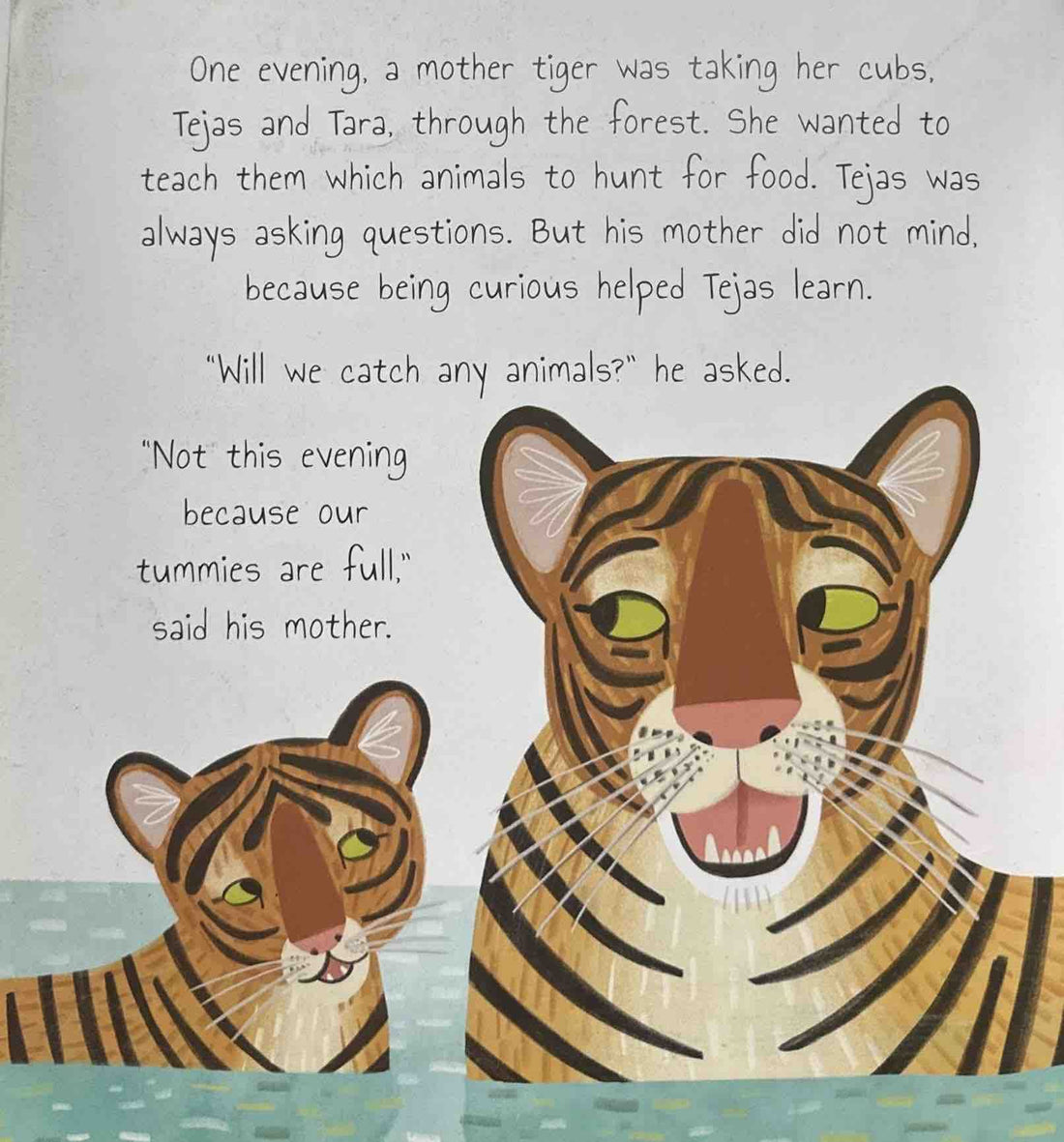 The Curious Tiger