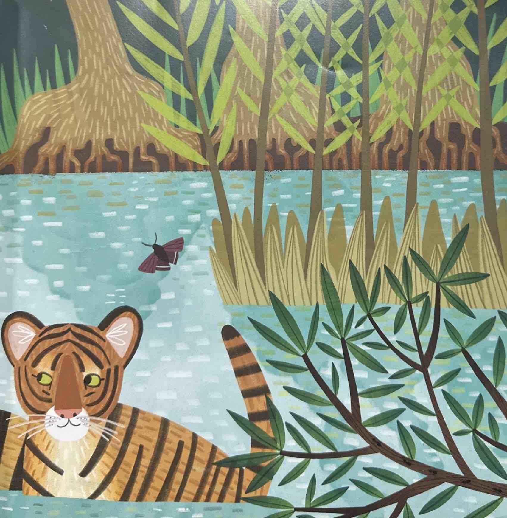 The Curious Tiger