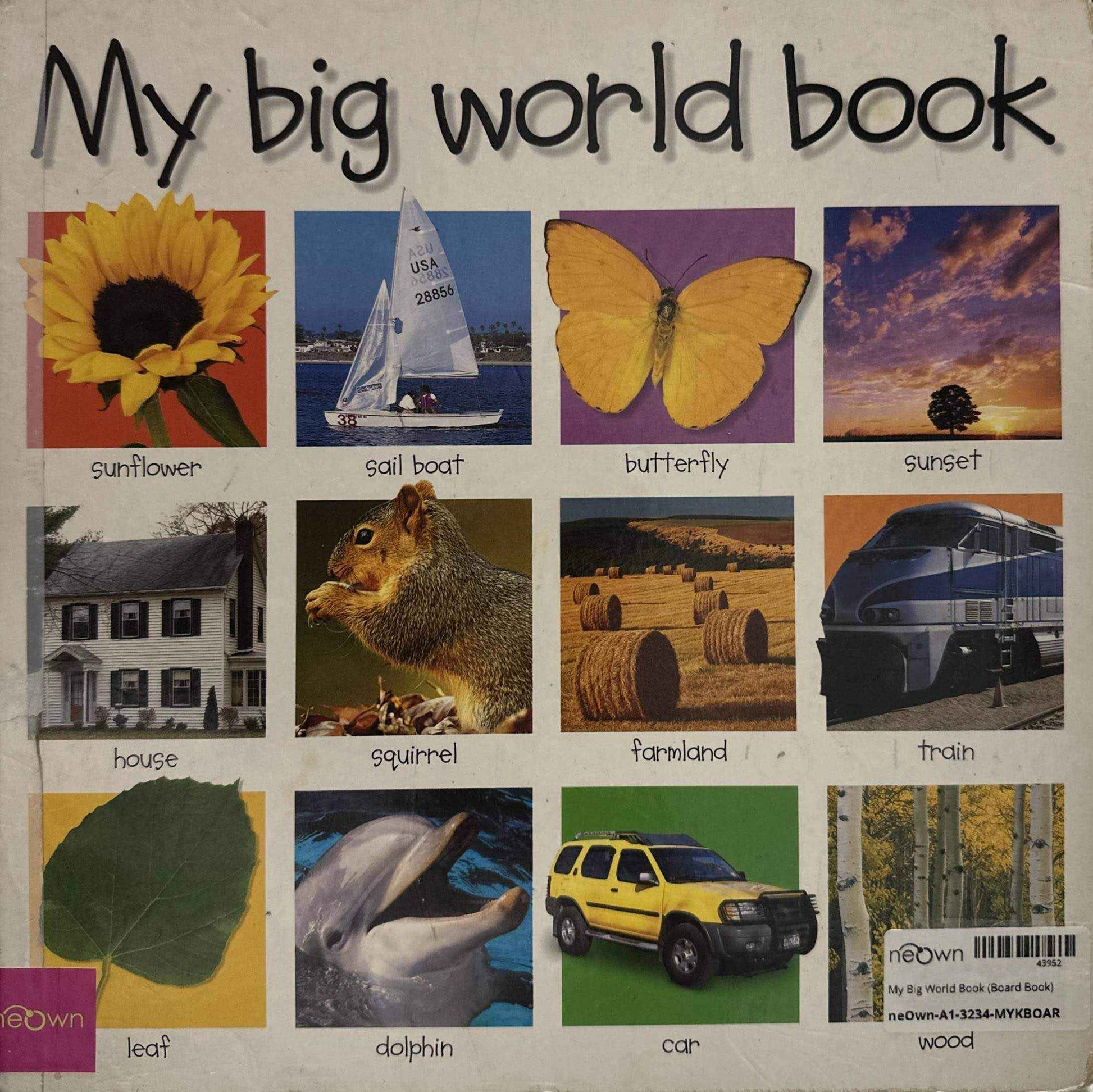 My Big World Book (Board Book)