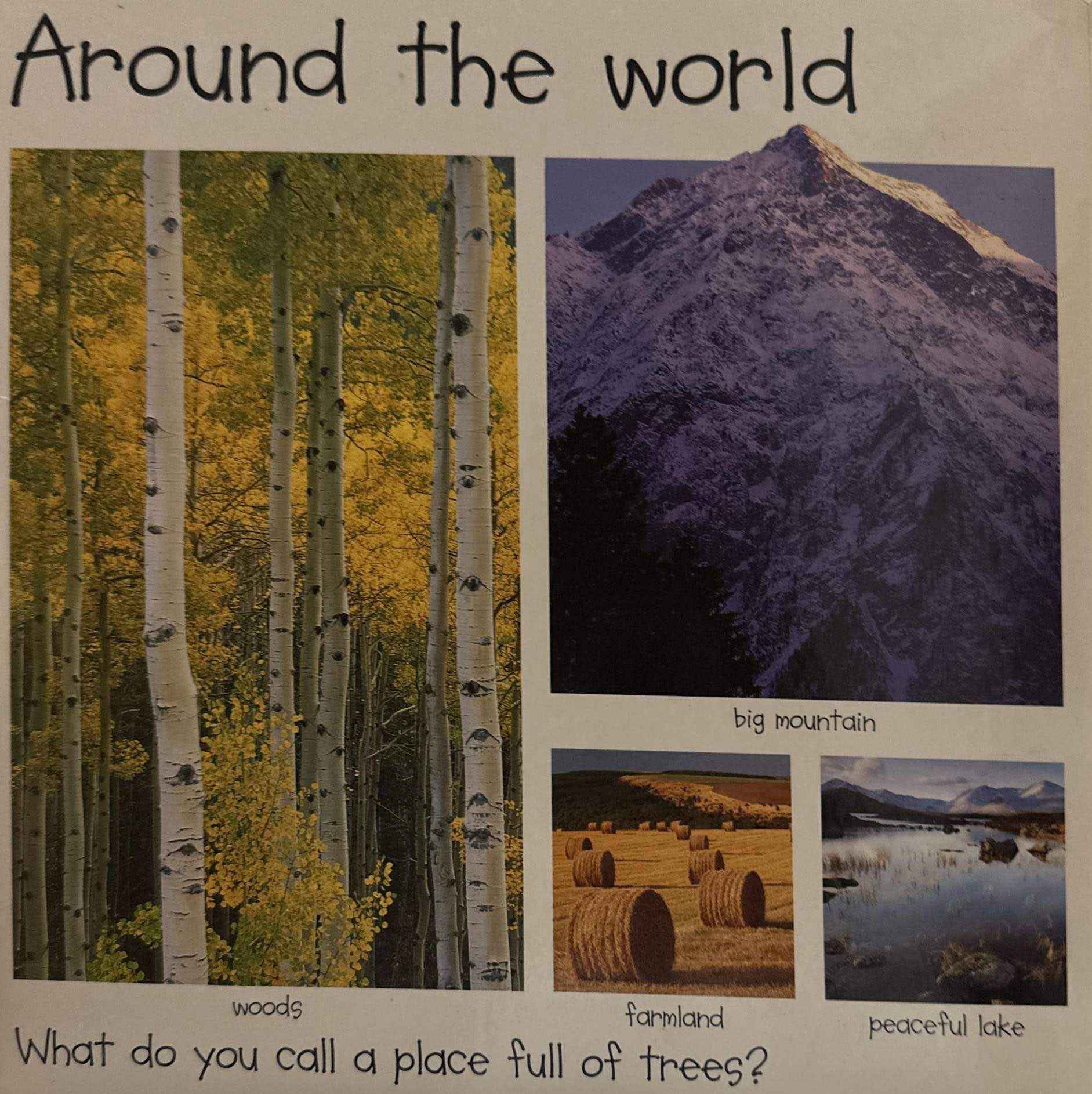 My Big World Book (Board Book)