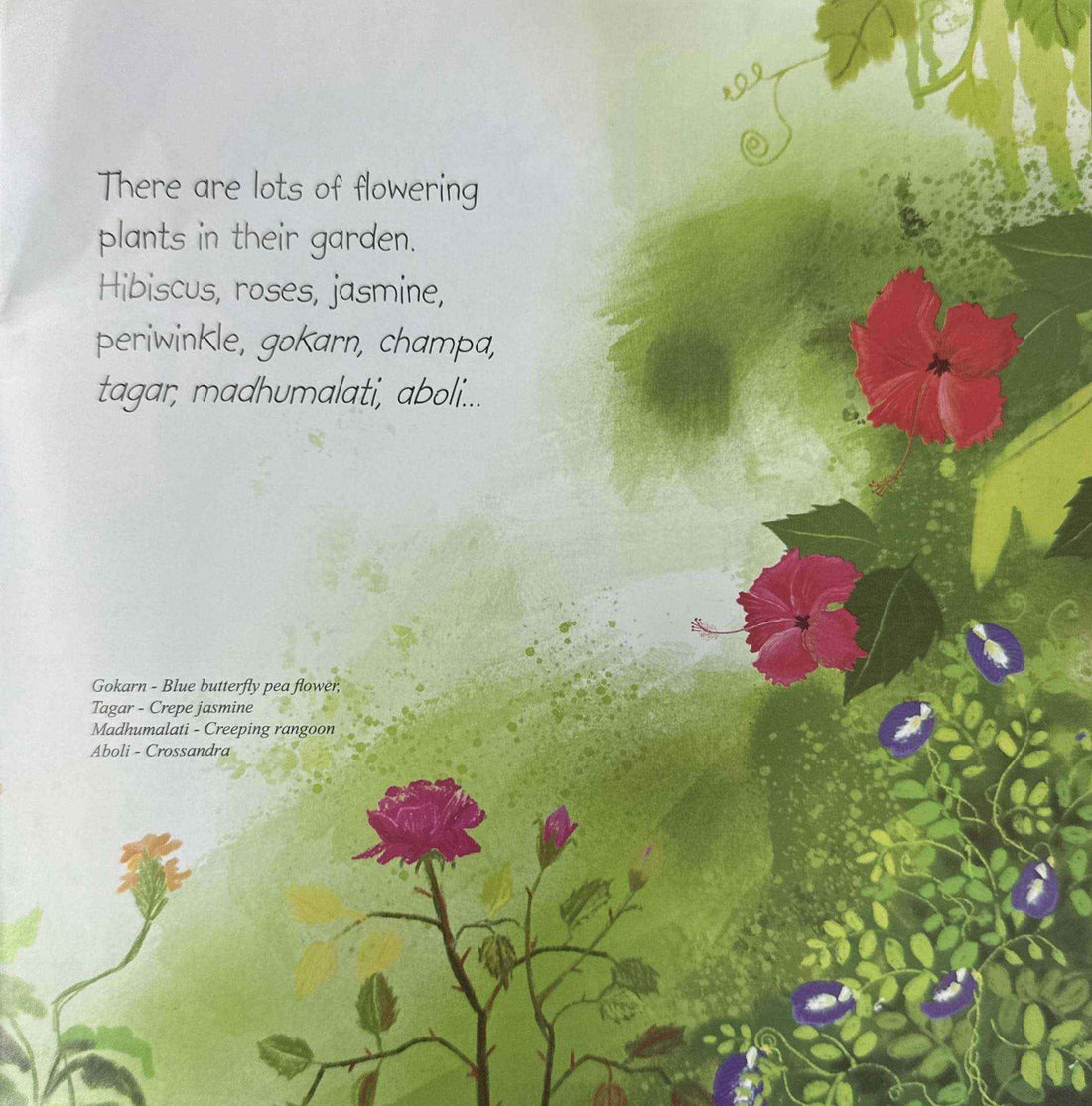 The Dreamy Boy (My World- Flowers)