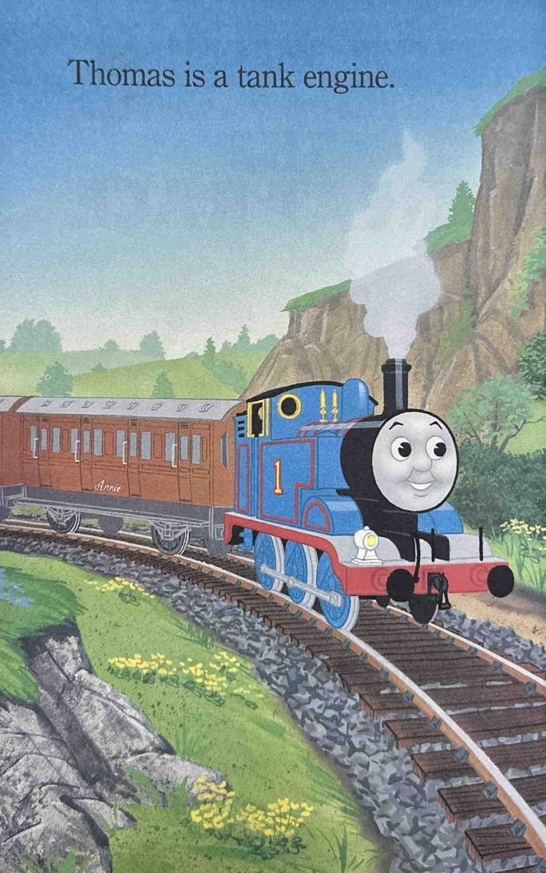 Step Into Reading Level 1: The Great Race