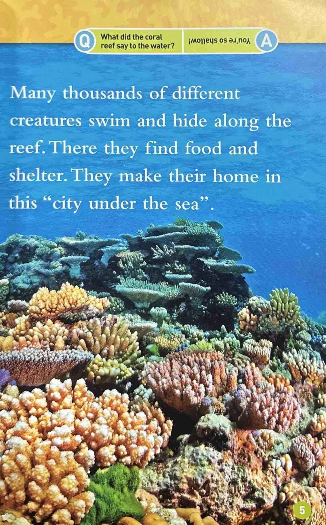 National Geographic Kids Level 3: Coral Reefs