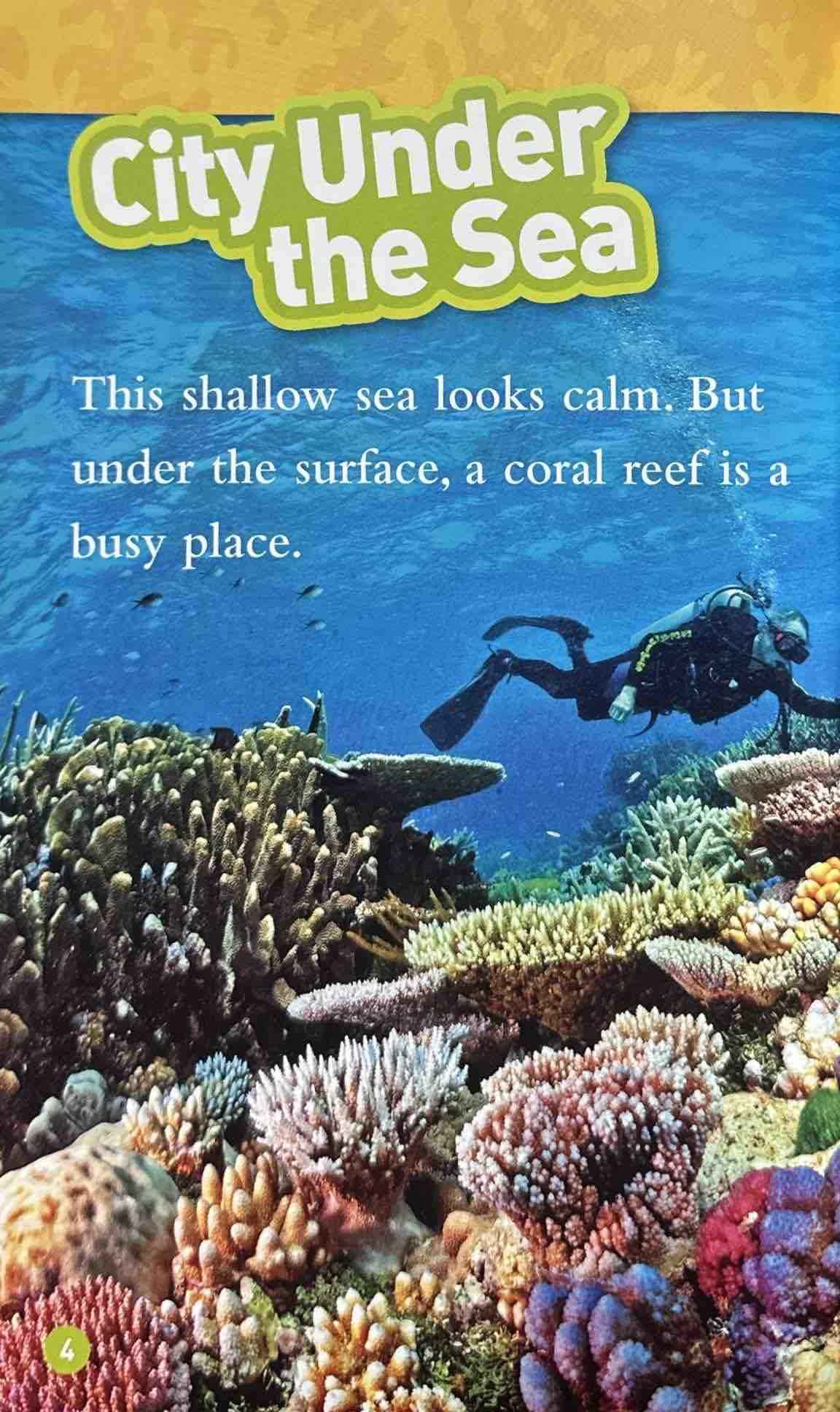 National Geographic Kids Level 3: Coral Reefs