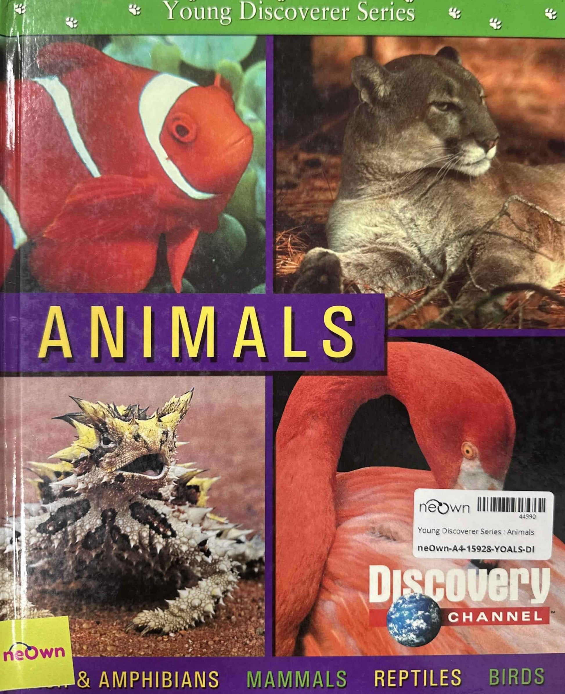 Young Discoverer Series : Animals