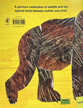 Bill Martin's Bears #4 Baby Bear, Baby Bear, What Do You See? (Paperback)