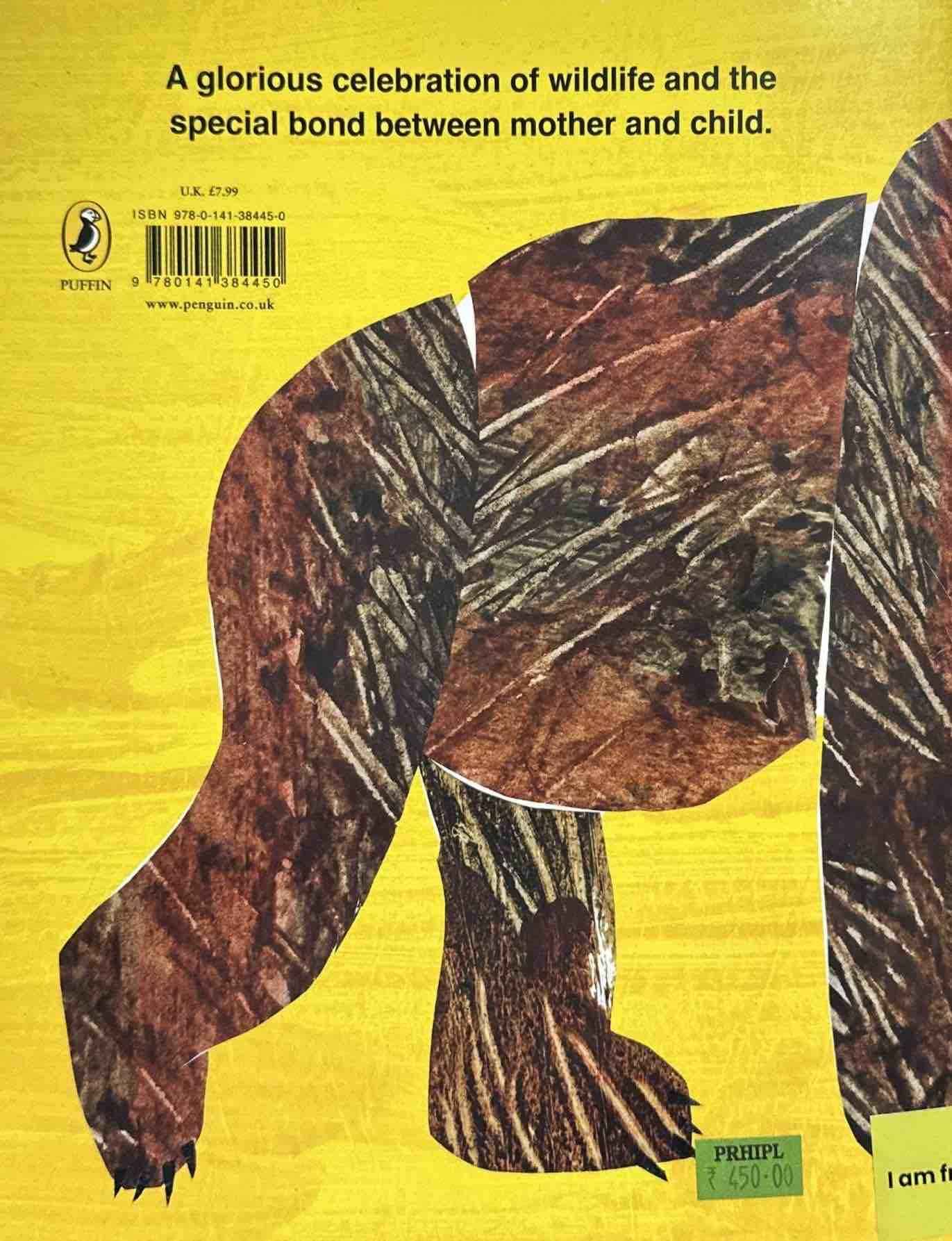 Bill Martin's Bears #4 Baby Bear, Baby Bear, What Do You See? (Paperback)