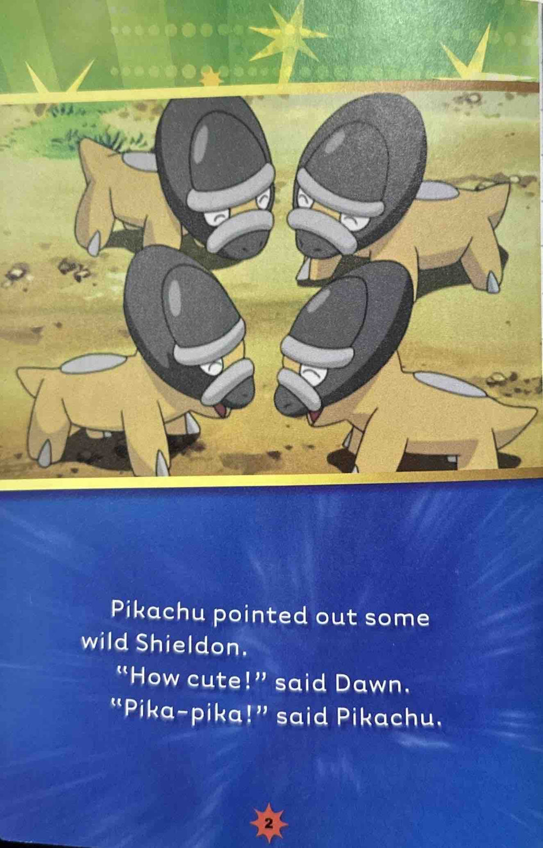 Pokemon Level 2: Save the Shieldon