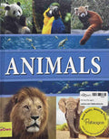 Animals (Parragon)