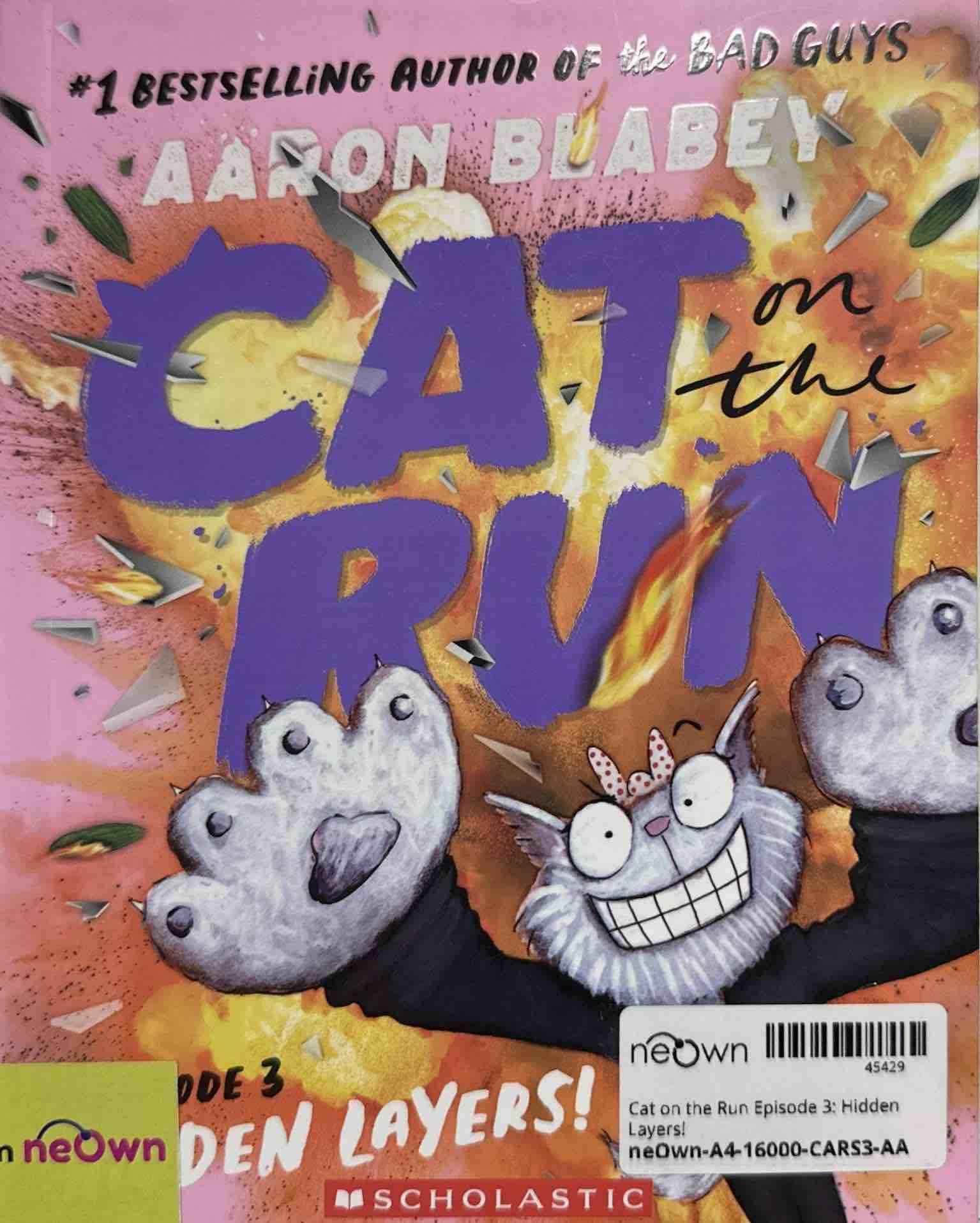 Cat on the Run Episode 3: Hidden Layers!