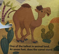 Cutout Board Books: Camel Cutout Board Book
