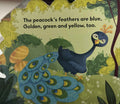 Cutout Board Books: Peacock Cutout Board Book