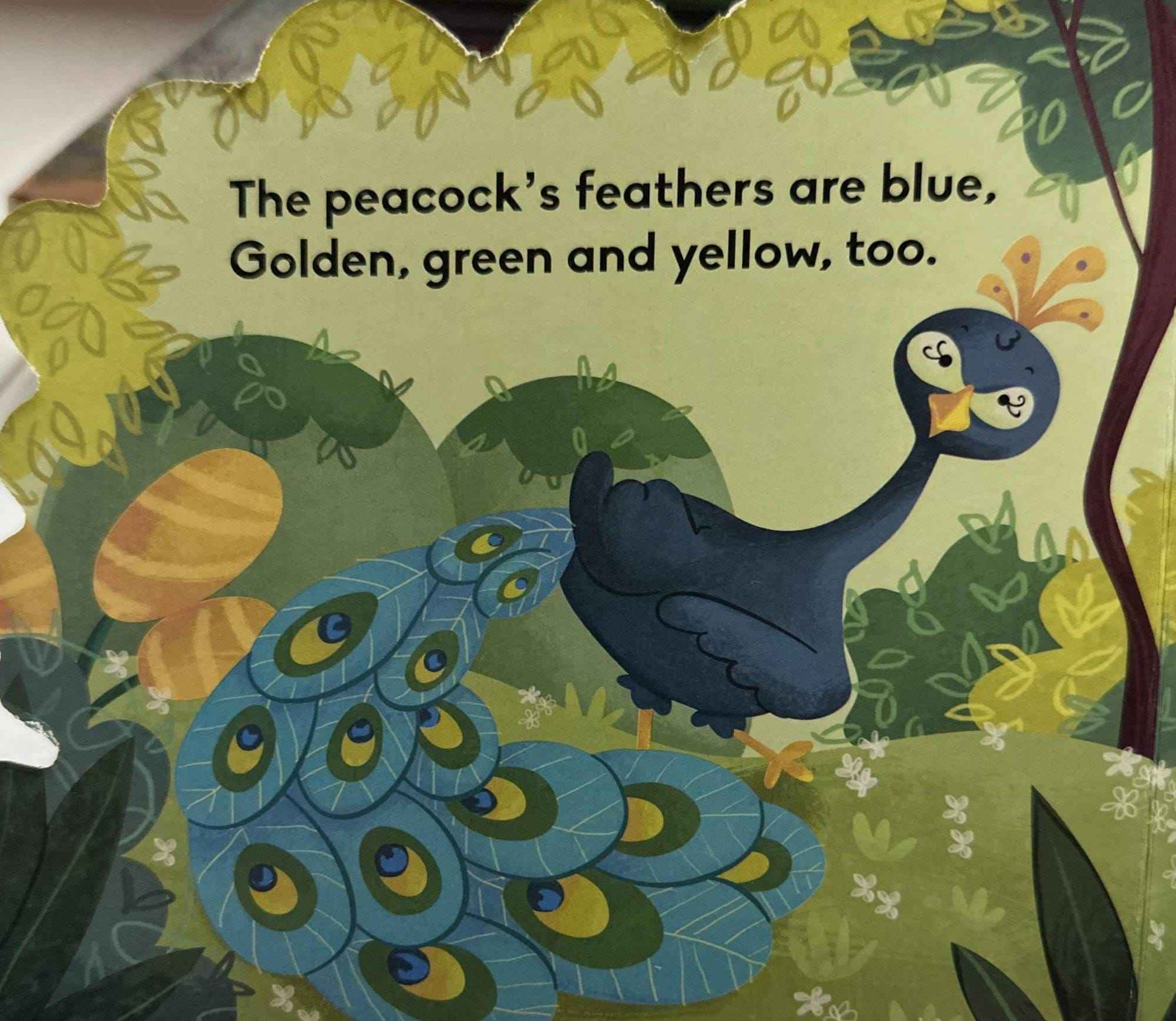 Cutout Board Books: Peacock Cutout Board Book