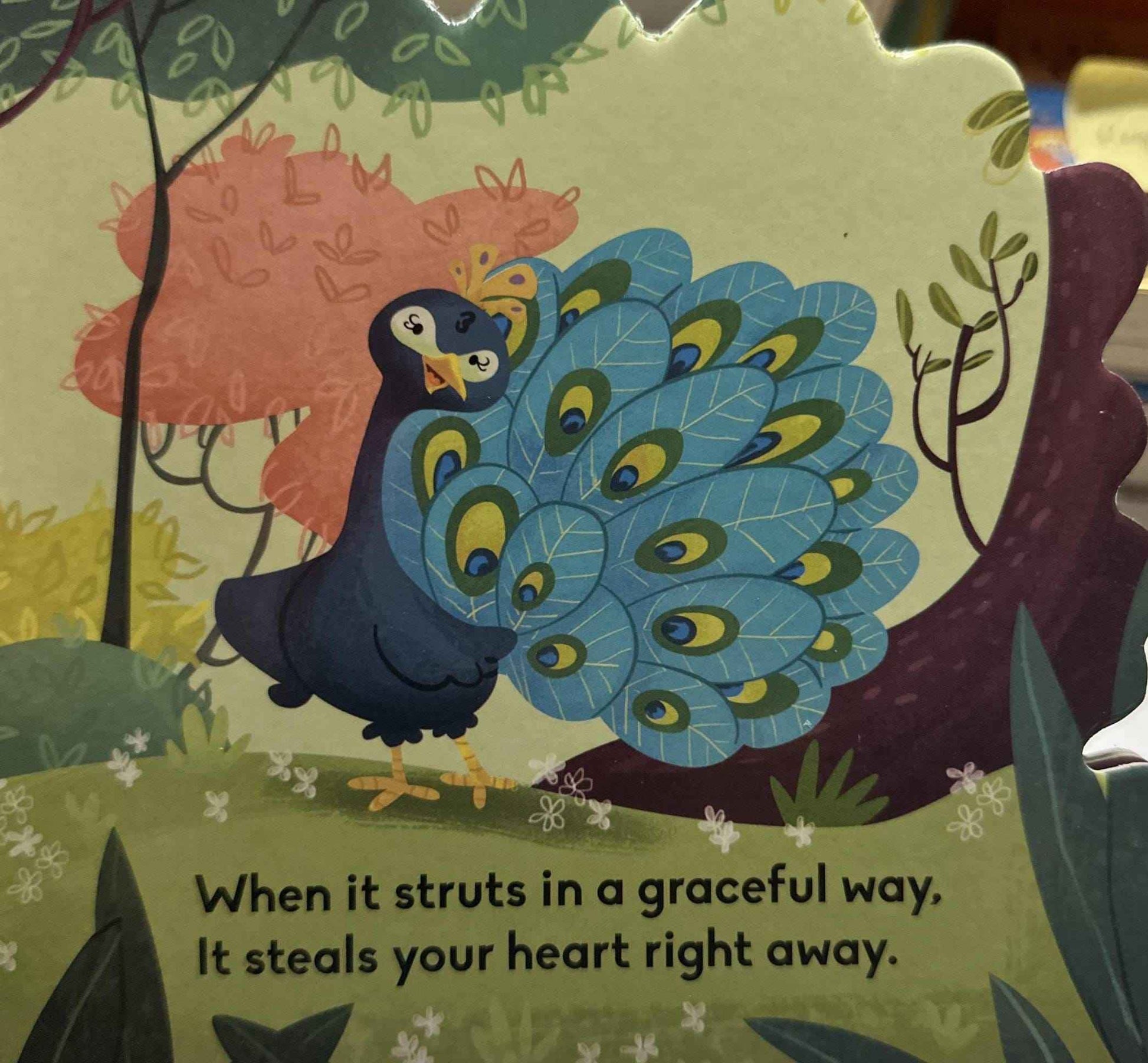 Cutout Board Books: Peacock Cutout Board Book