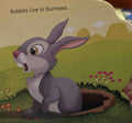 My First Shaped Board Book: My First Shaped Board Book Rabbit