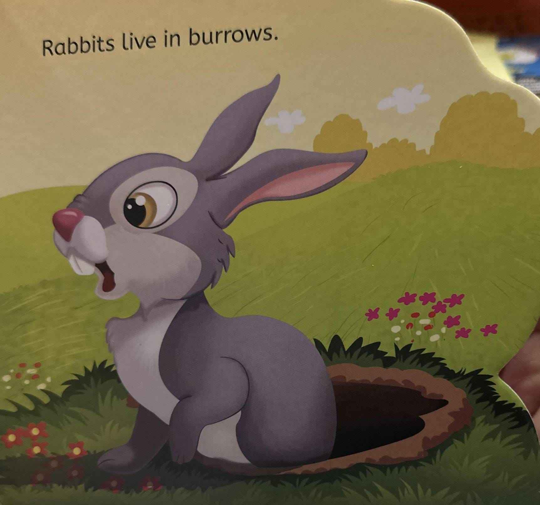 My First Shaped Board Book: My First Shaped Board Book Rabbit