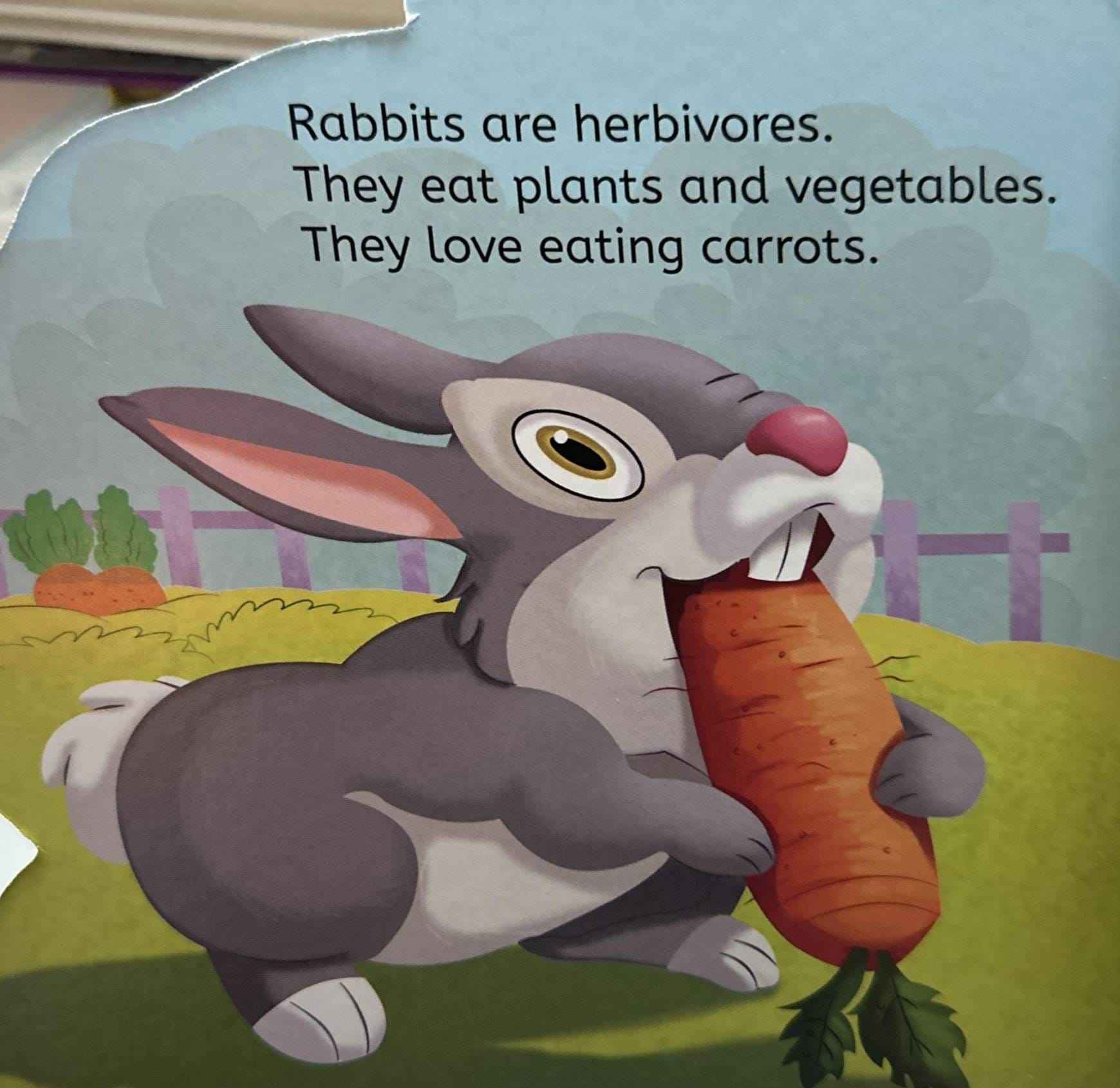 My First Shaped Board Book: My First Shaped Board Book Rabbit