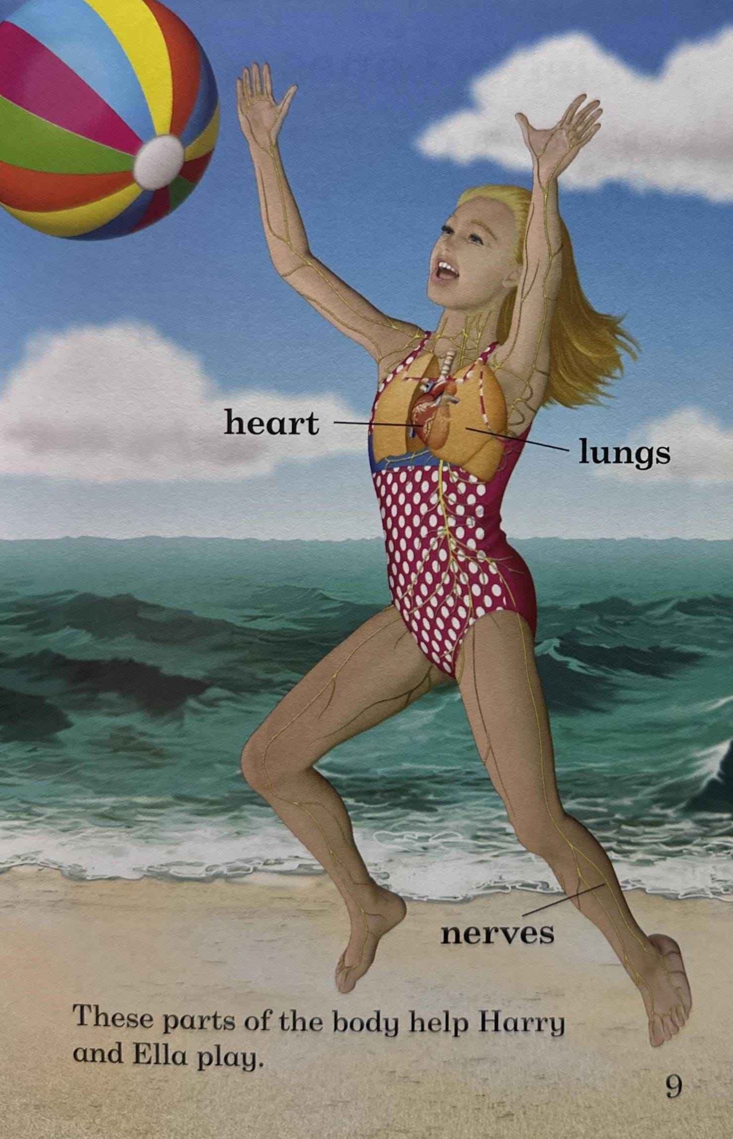 Read it Yourself with Ladybird Level 4: The Human Body (Read it Yourself with Ladybird Level 4)