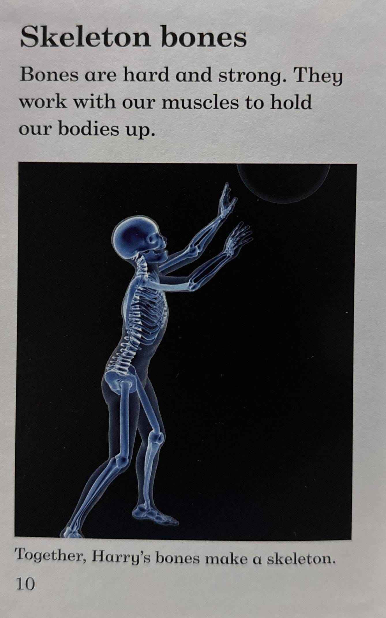 Read it Yourself with Ladybird Level 4: The Human Body (Read it Yourself with Ladybird Level 4)