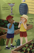 Read it Yourself with Ladybird Level 4: Water (Read it Yourself with Ladybird Level 4)