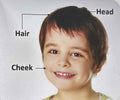 Kids Board-Book: Kids Board-Book Body Parts
