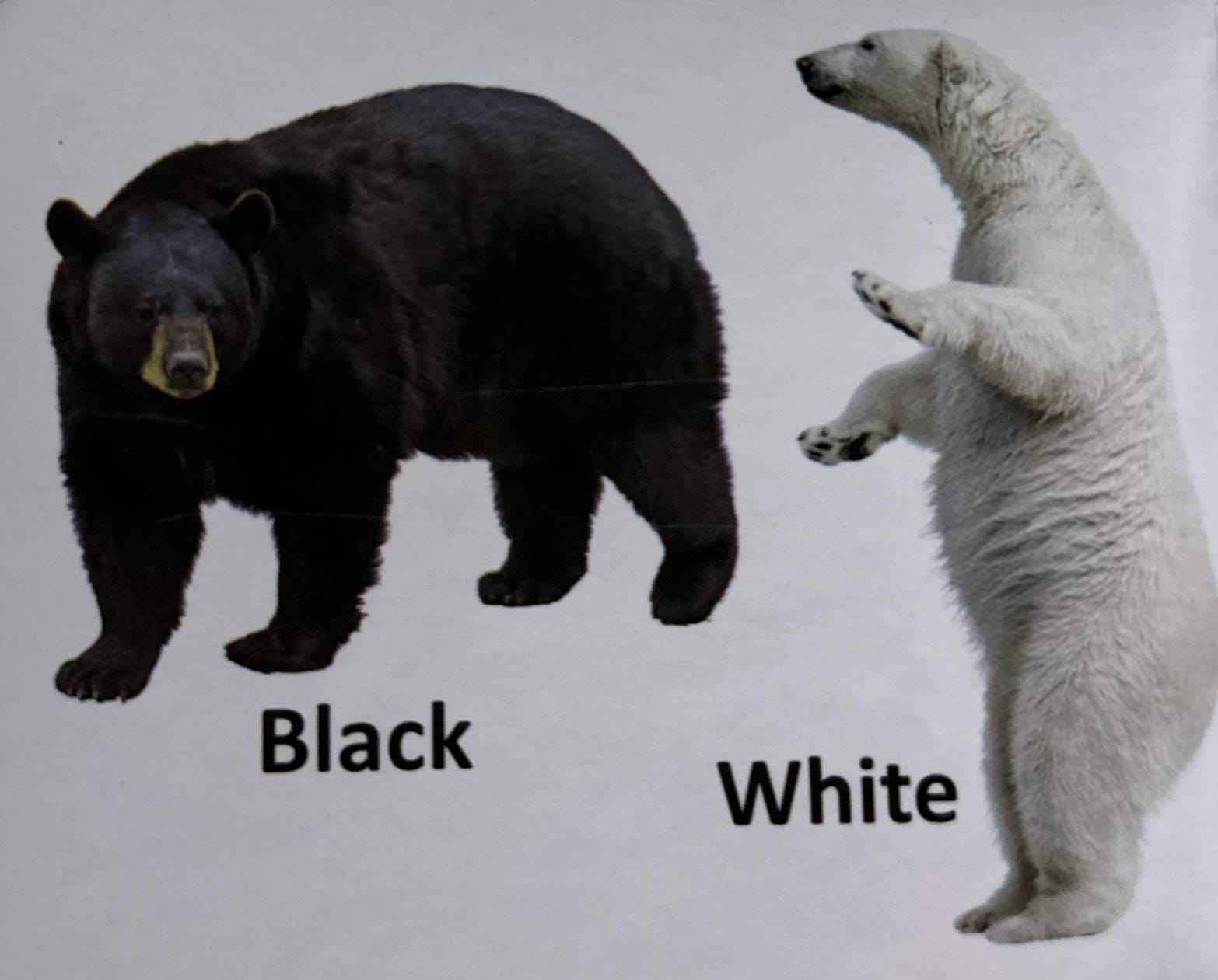 Kids Board-Book: Kids Board-Book Opposites