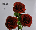 Kids Board-Book: Kids Board-Book Flowers