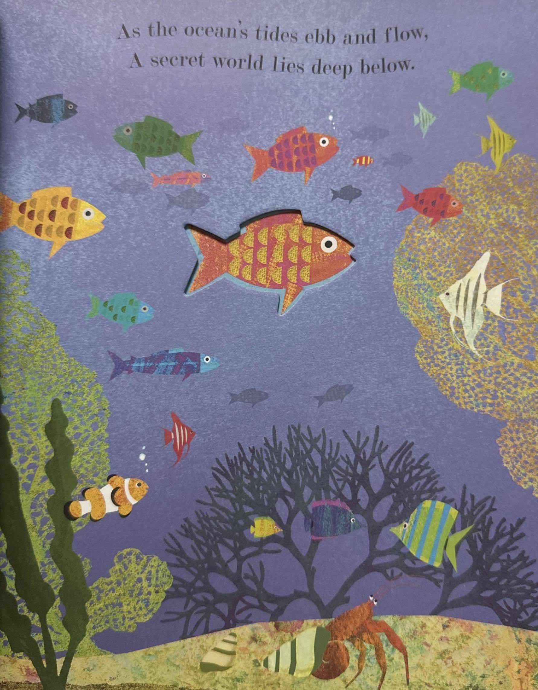 Peek-Through Nature: A World Beneath the Waves Sea (Paperback)