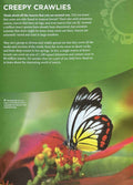 Insects (Knowledge Encyclopedia for Children)