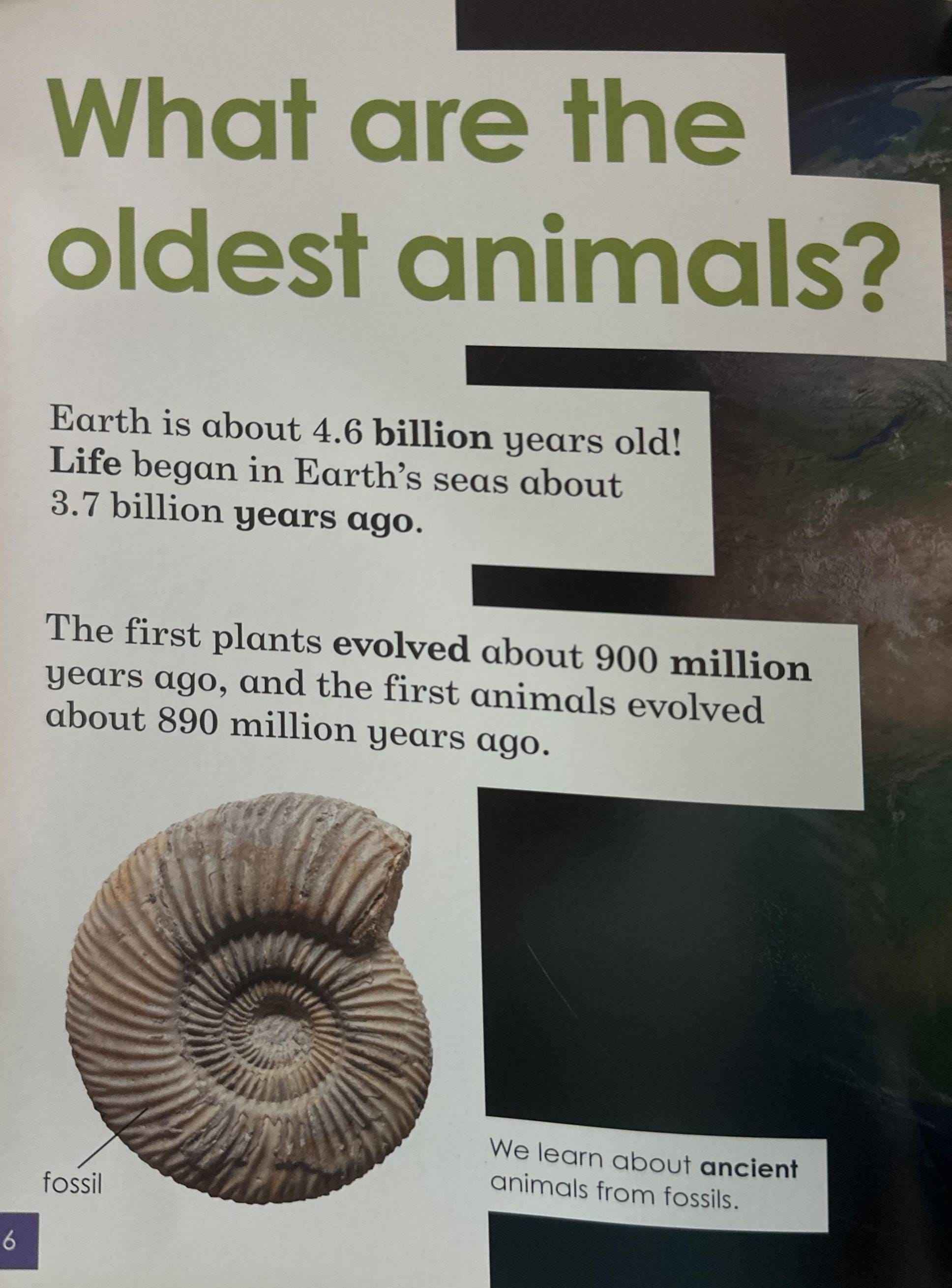 Do You Know? Level 3: Dinosaurs and Ancient Animals