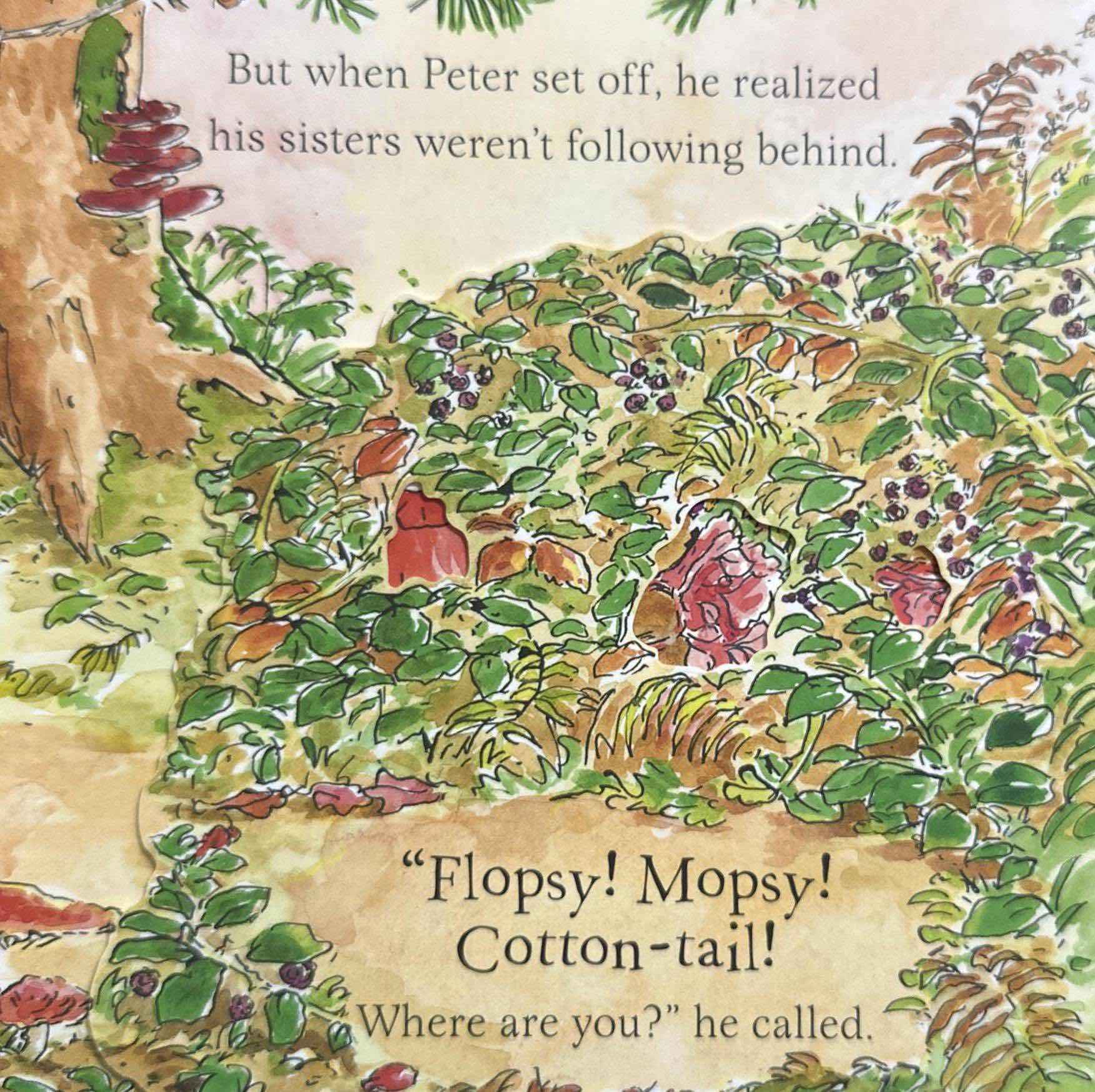 Peter Rabbit: Peter's Halloween Peek-a-BOO! (A Lift-and-Find Book)
