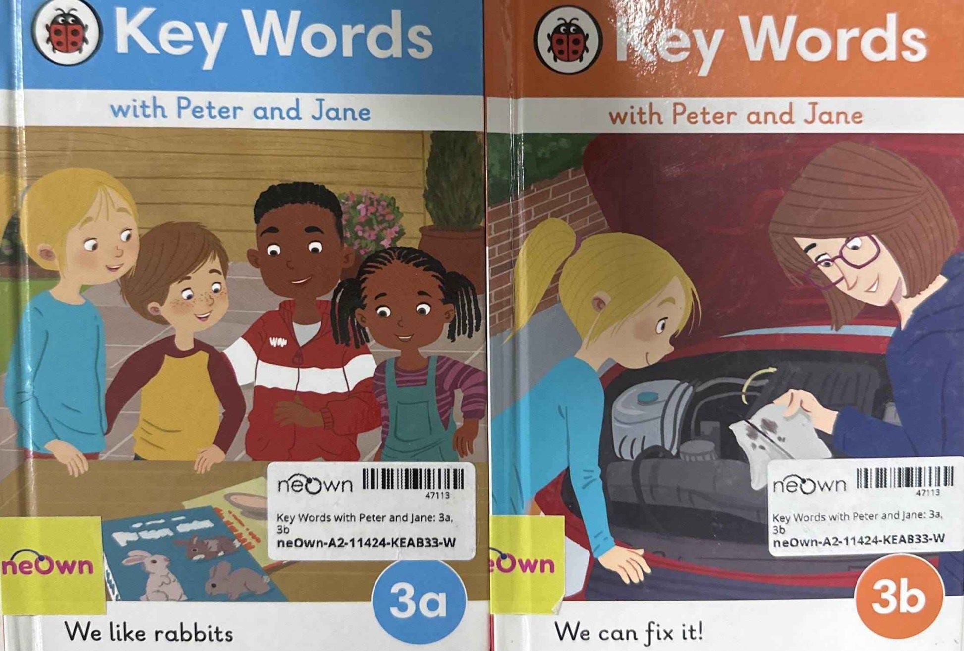 Key Words with Peter and Jane: 3a, 3b