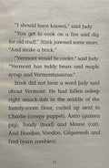 Stink #9 Stink and the Shark Sleepover