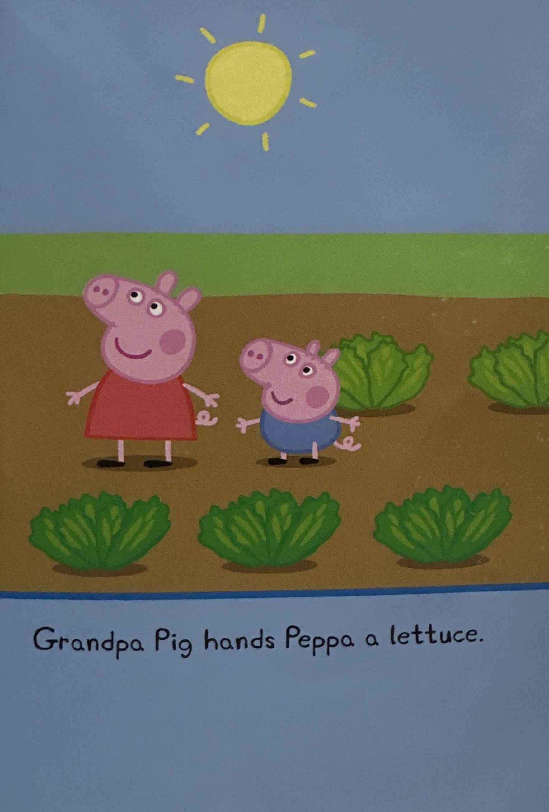 Peppa Pig:Tiny Creatures (Hardcover)