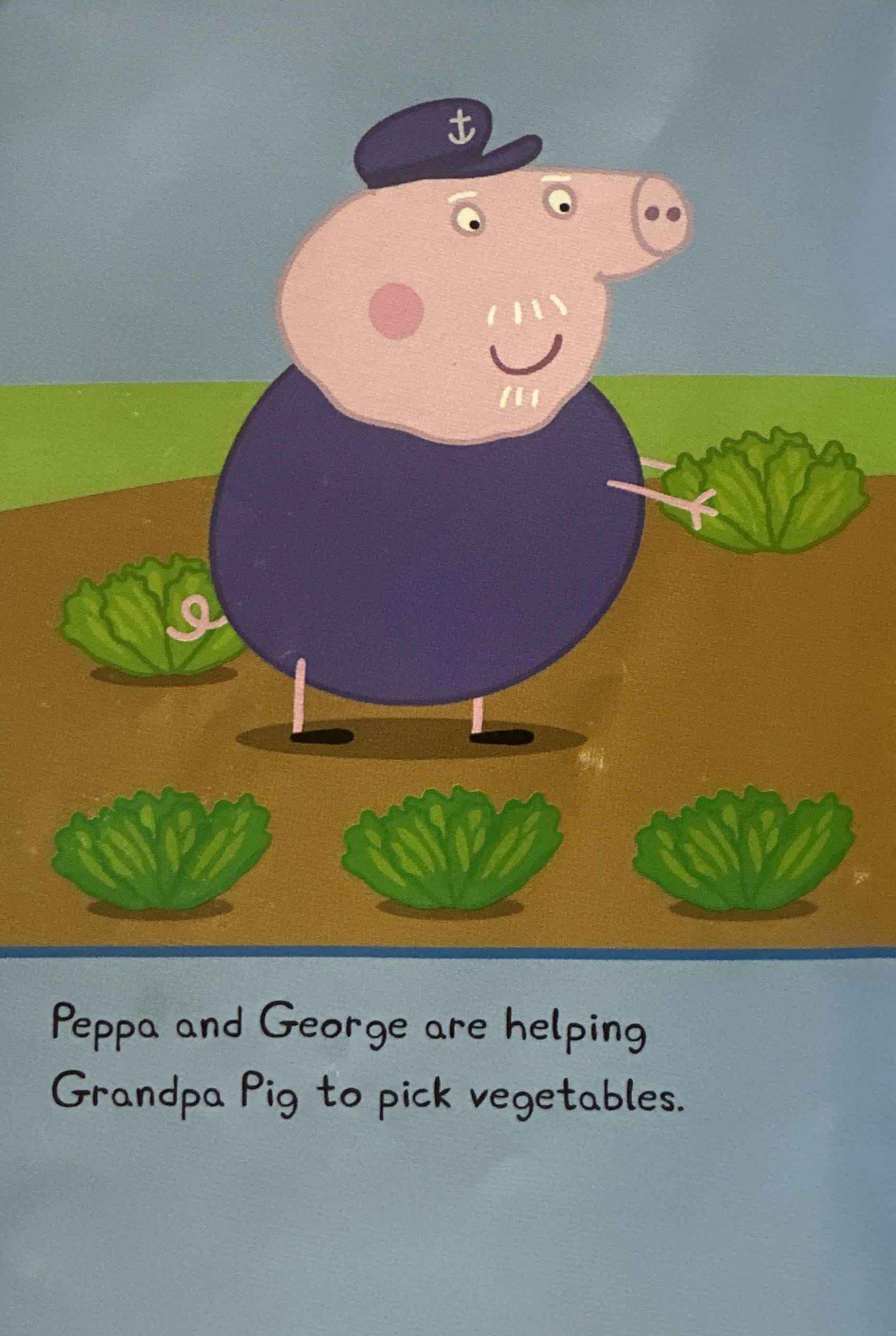 Peppa Pig:Tiny Creatures (Hardcover)
