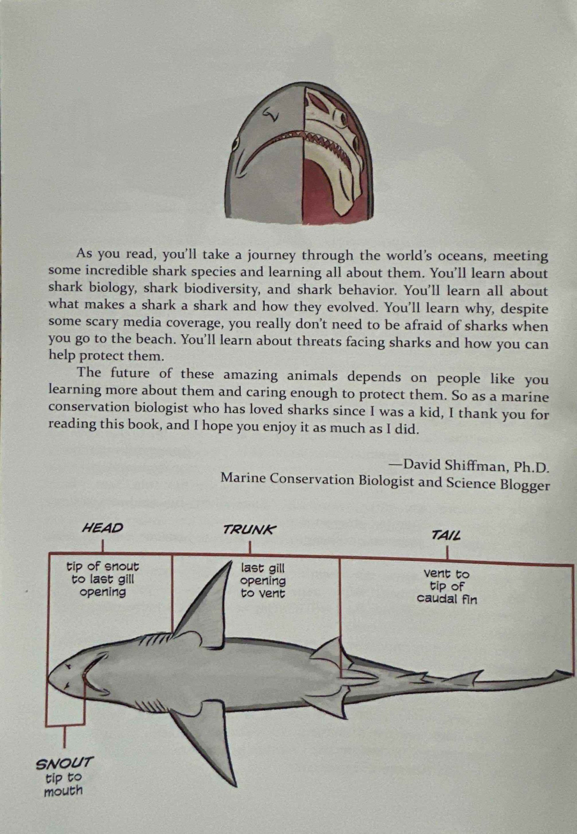 Science Comics: Sharks (Nature's Perfect Hunter)