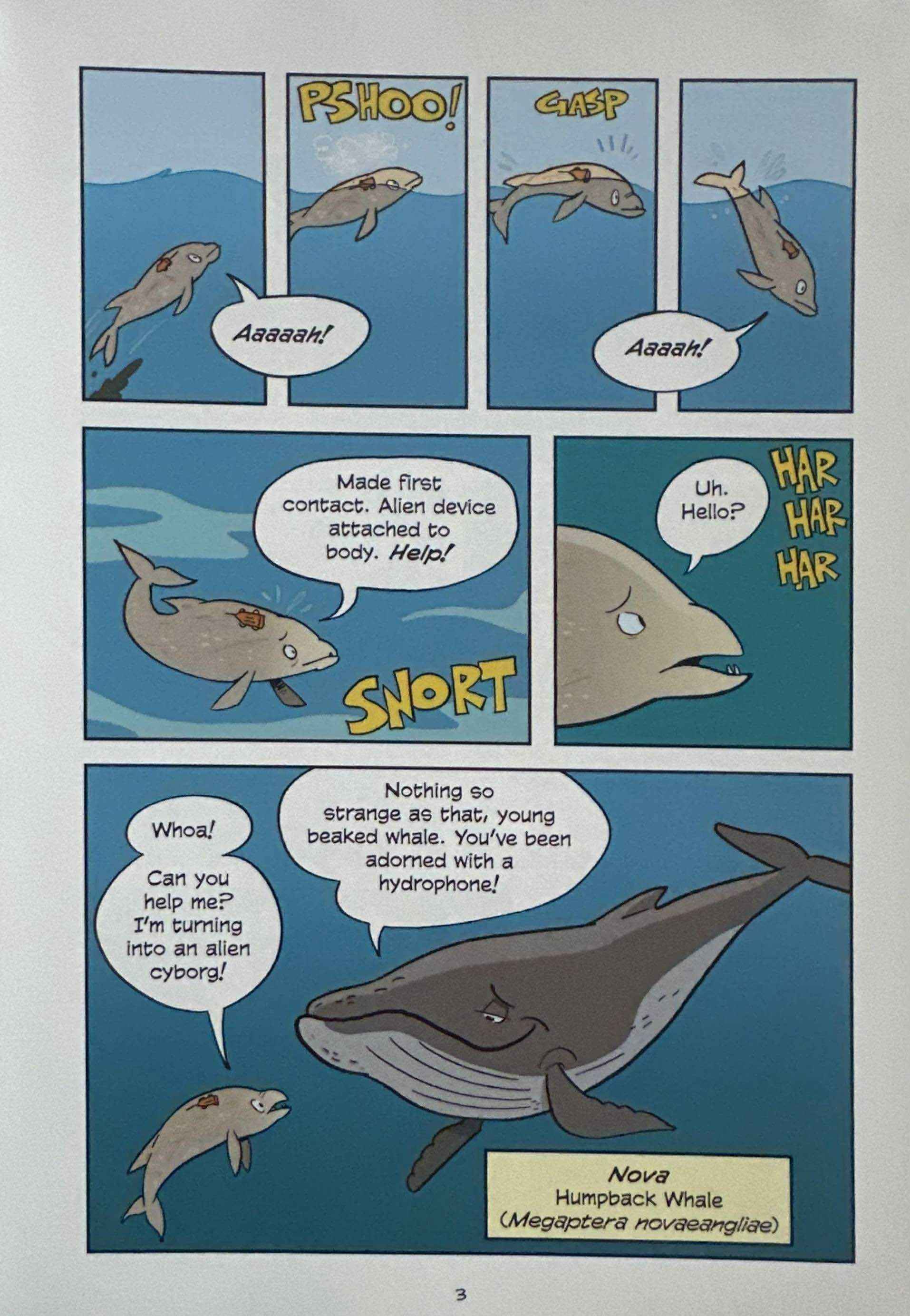 Science Comics: Whales (Diving into the Unknown)