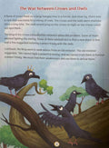 Short Stories from Panchatantra (Volume 9)