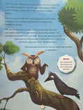 Short Stories from Panchatantra (Volume 8)