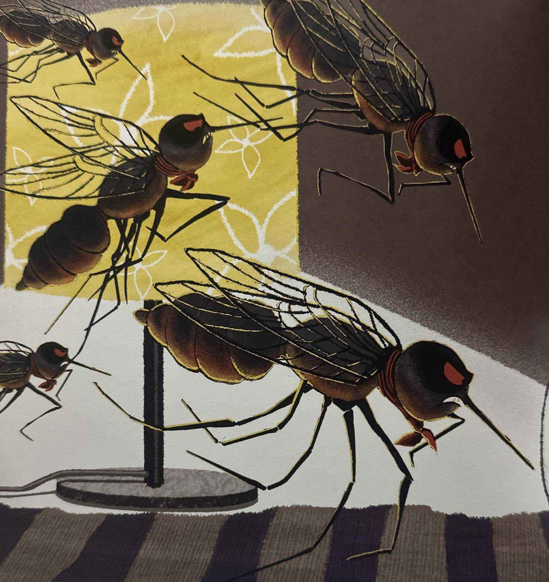 The Insect Boy